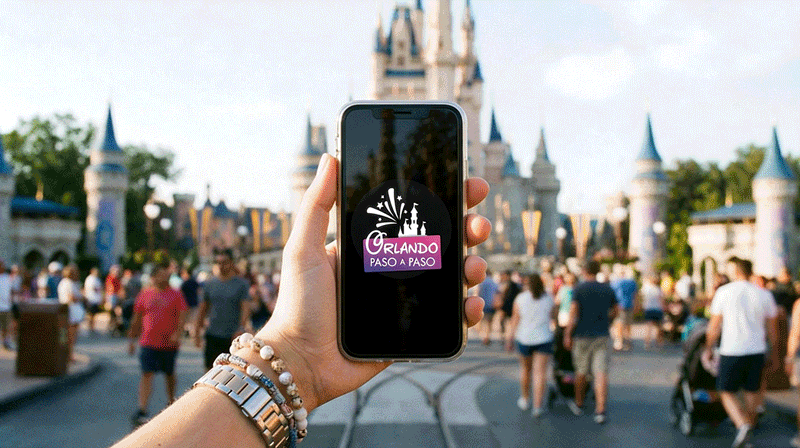 Asesoría remota por Whatsapp